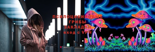 гашик Каменногорск