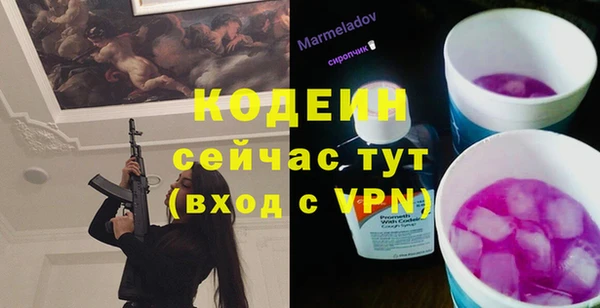 гашик Каменногорск