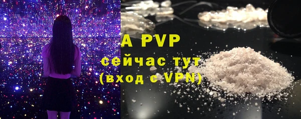 прущие грибы Каменка