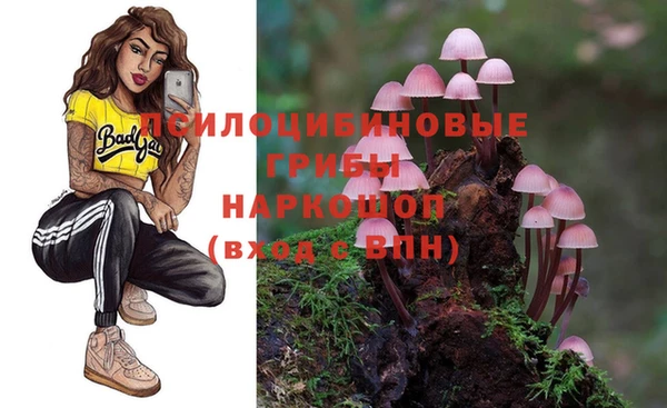 гашик Каменногорск
