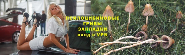 прущие грибы Каменка